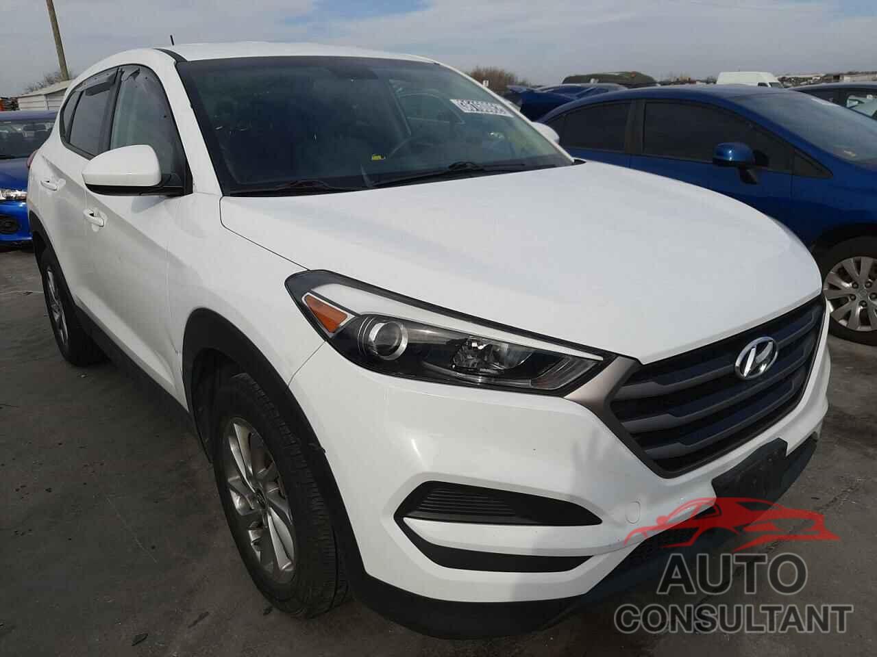 HYUNDAI TUCSON 2016 - KM8J23A41GU092266