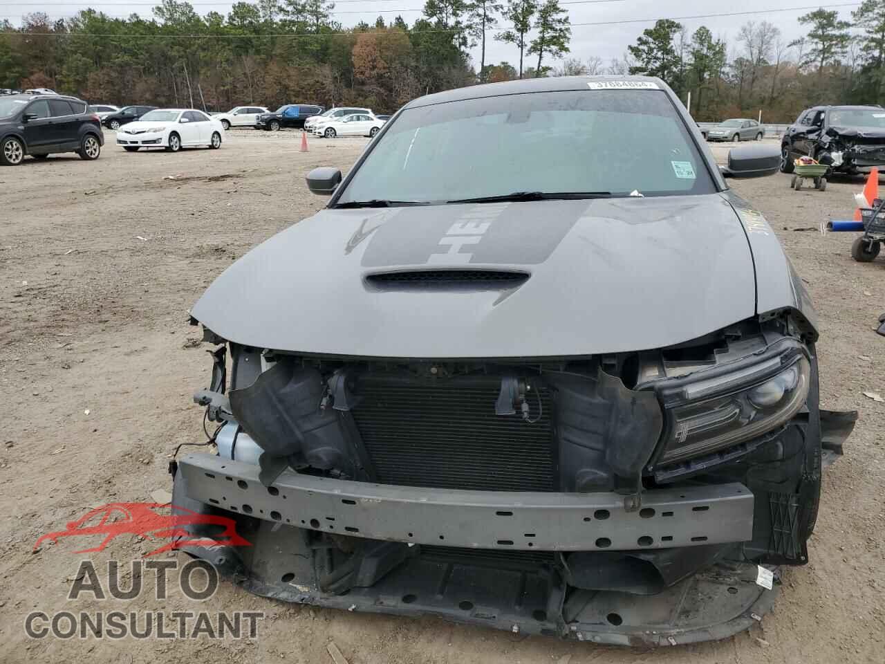 DODGE CHARGER 2017 - 2C3CDXCTXHH620513