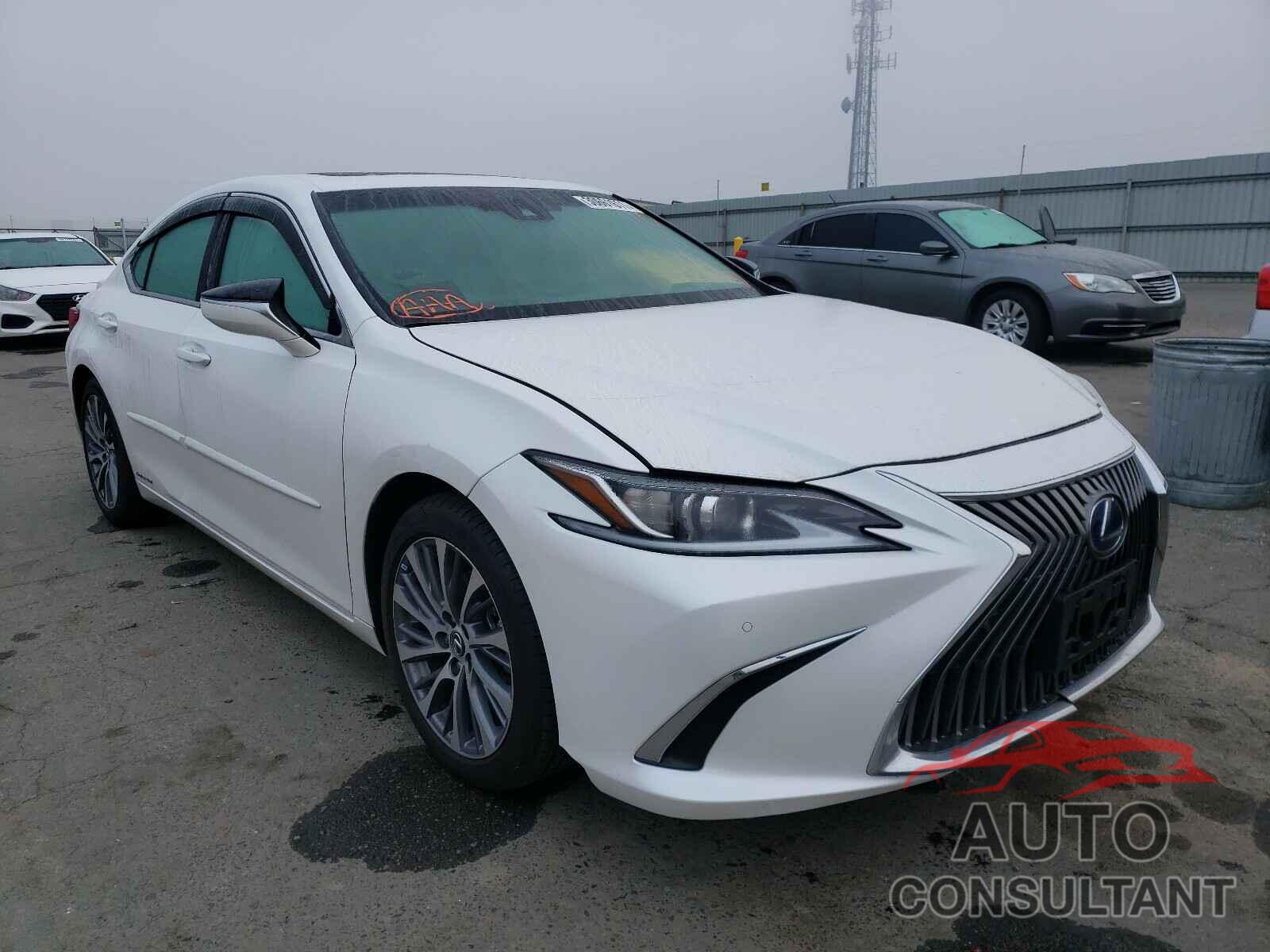 LEXUS ES300 2020 - 58AD21B11LU010447