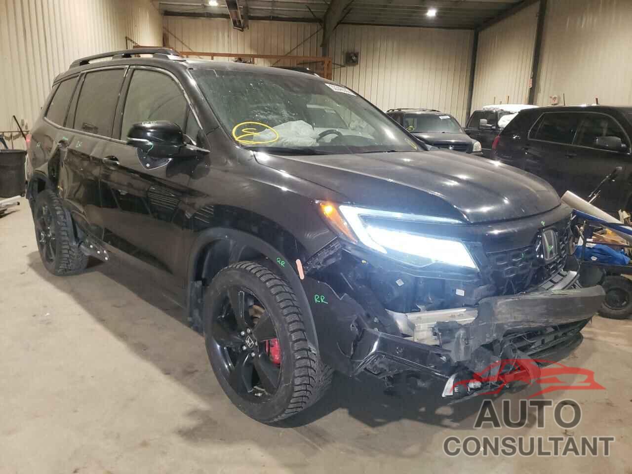 HONDA PASSPORT 2019 - 5FNYF8H95KB502848