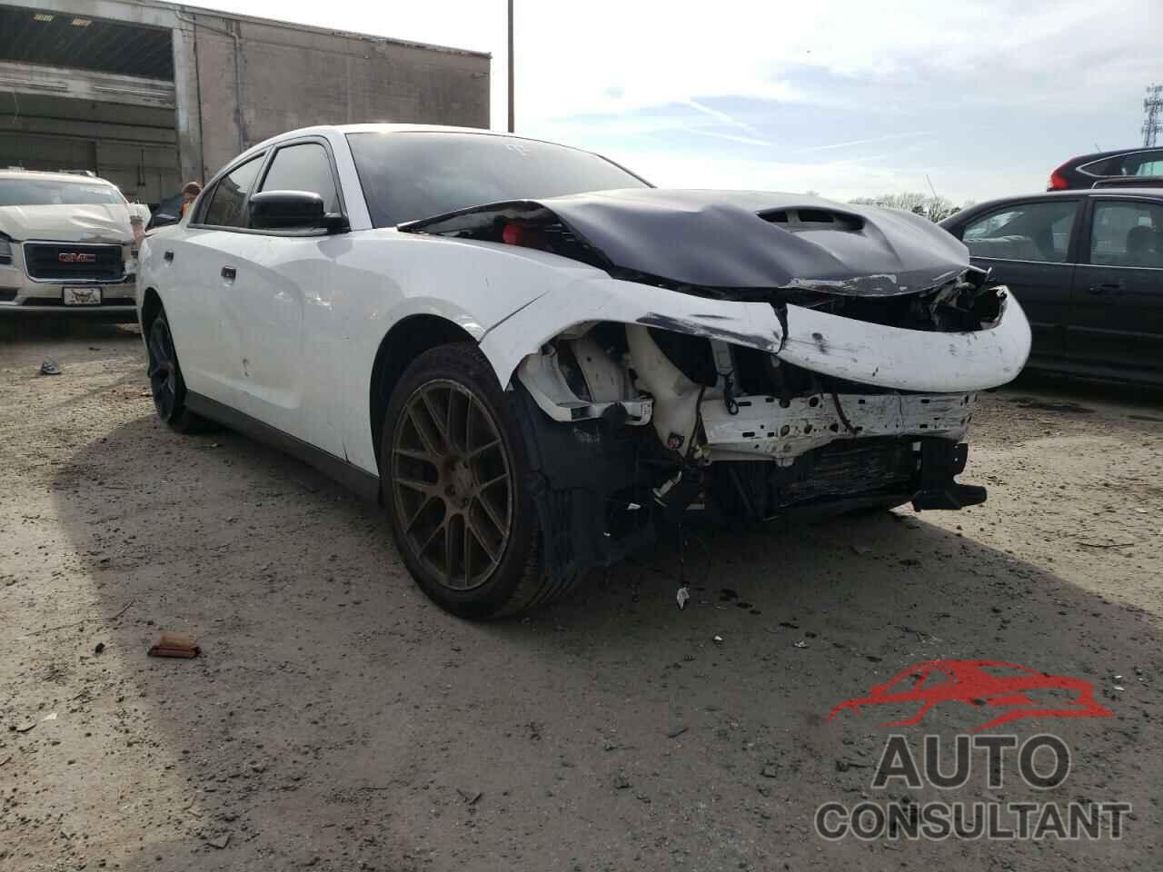 DODGE CHARGER 2019 - 2C3CDXCT4KH554516