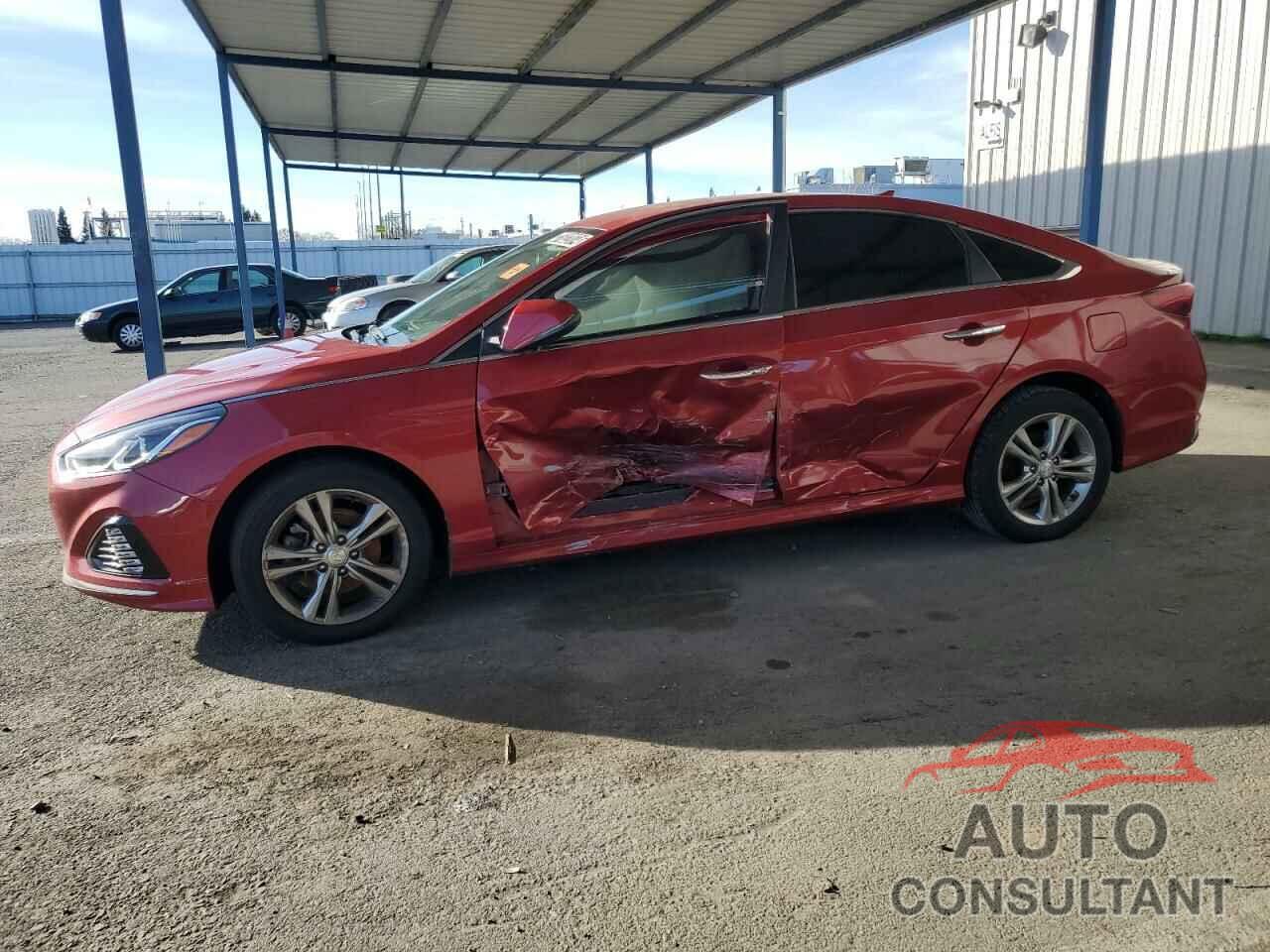 HYUNDAI SONATA 2019 - 5NPE34AF6KH769633