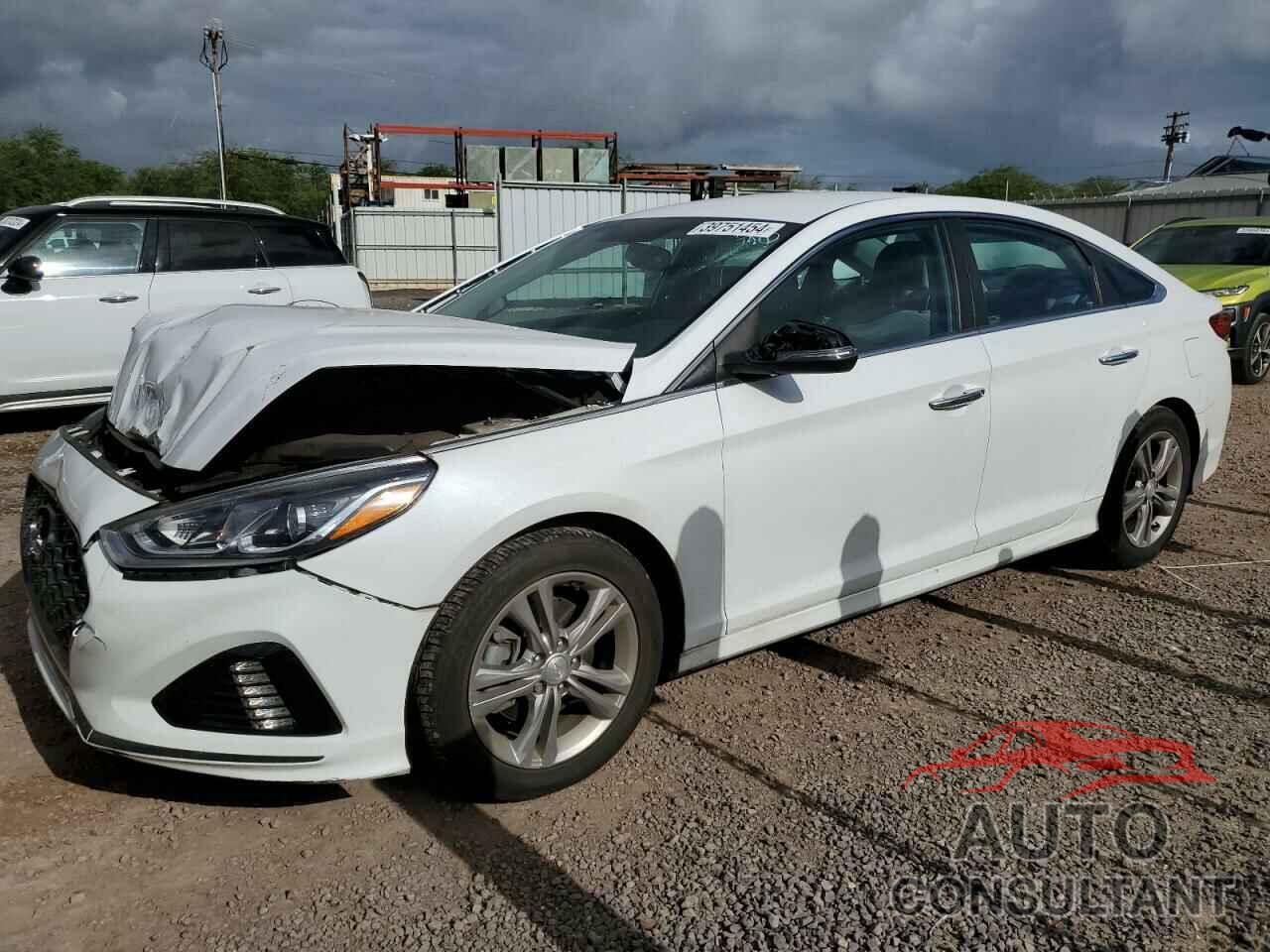 HYUNDAI SONATA 2019 - 5NPE34AF1KH729377
