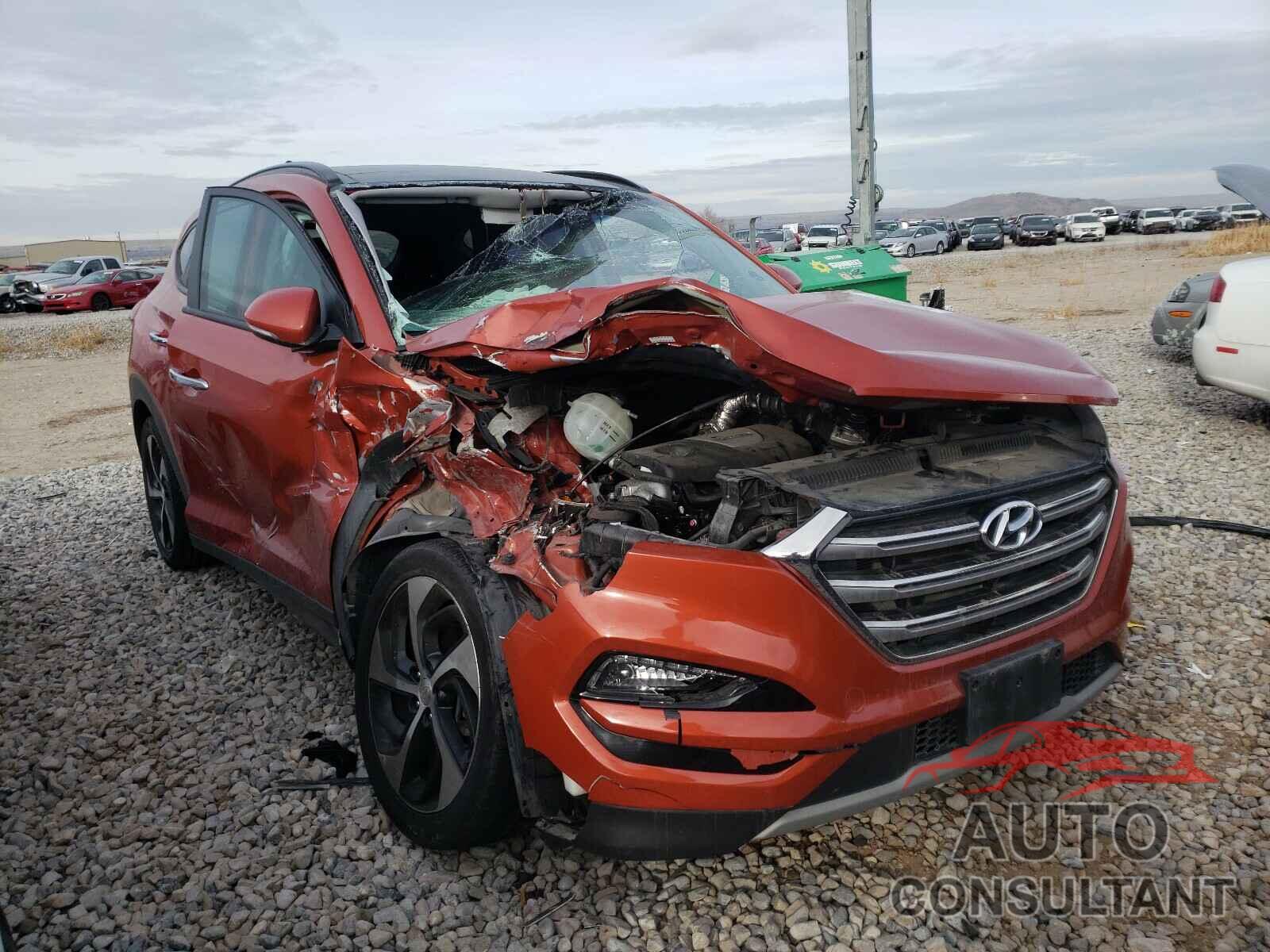 HYUNDAI TUCSON 2017 - KM8J3CA26HU294419