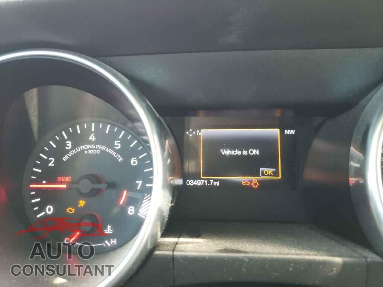 FORD MUSTANG 2019 - 1FA6P8CF1K5168357