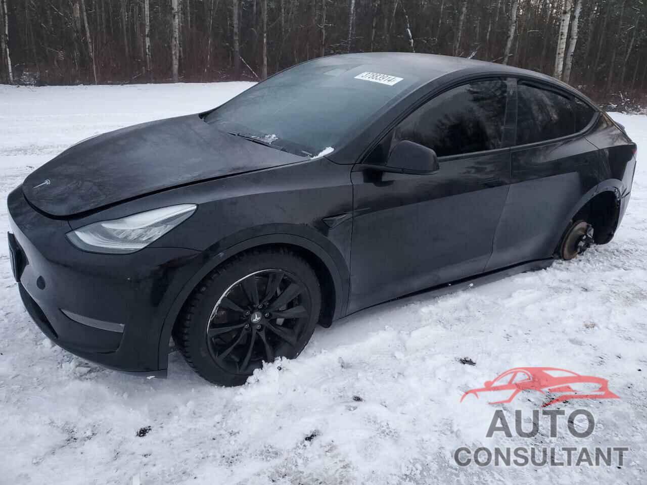 TESLA MODEL Y 2021 - 5YJYGDEE4MF061840