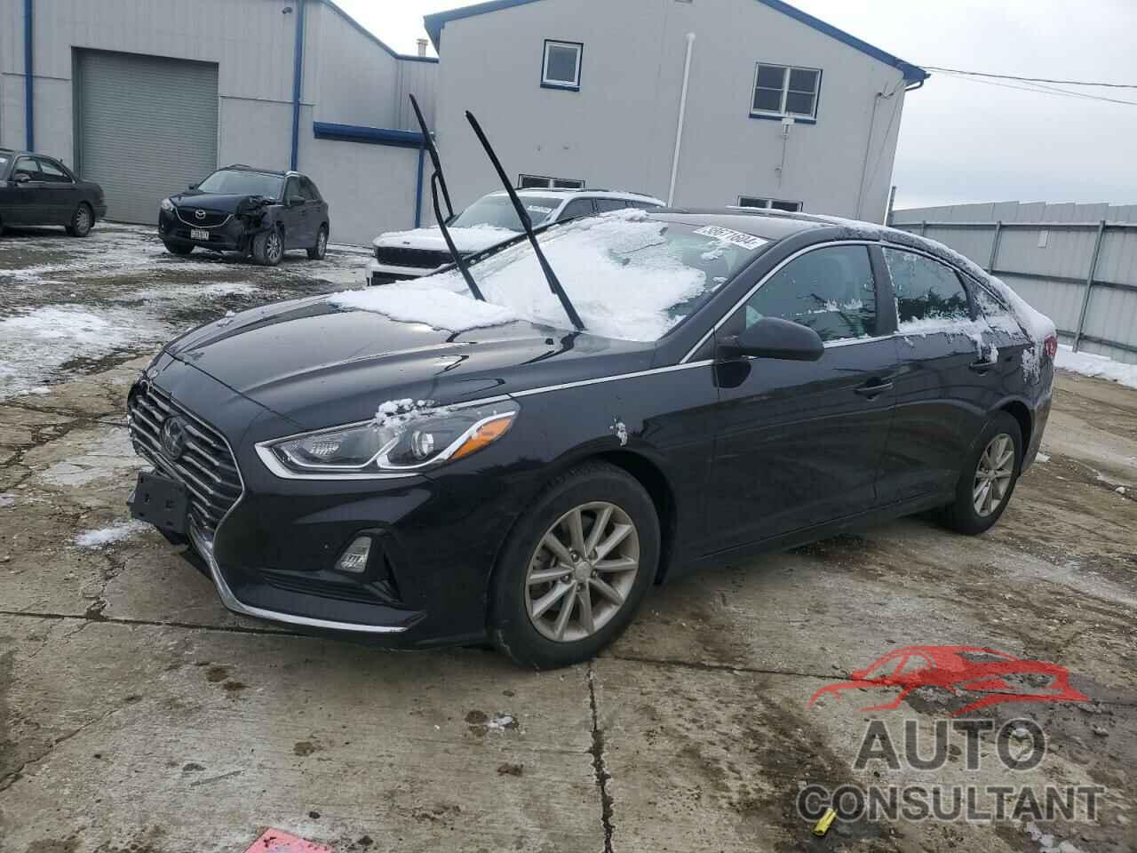 HYUNDAI SONATA 2019 - 5NPE24AF9KH817810