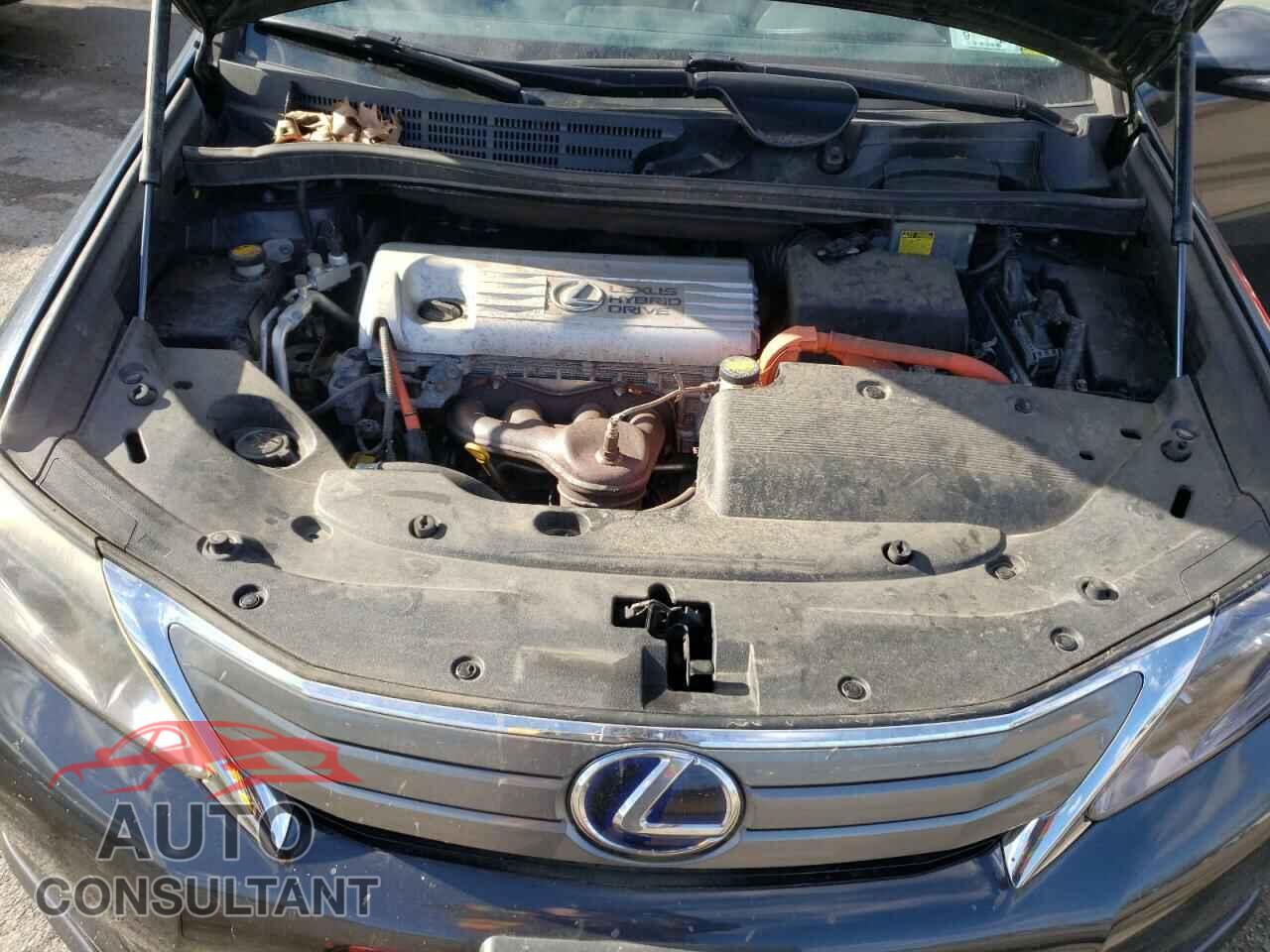 LEXUS HS 2010 - JTHBB1BA8A2007930