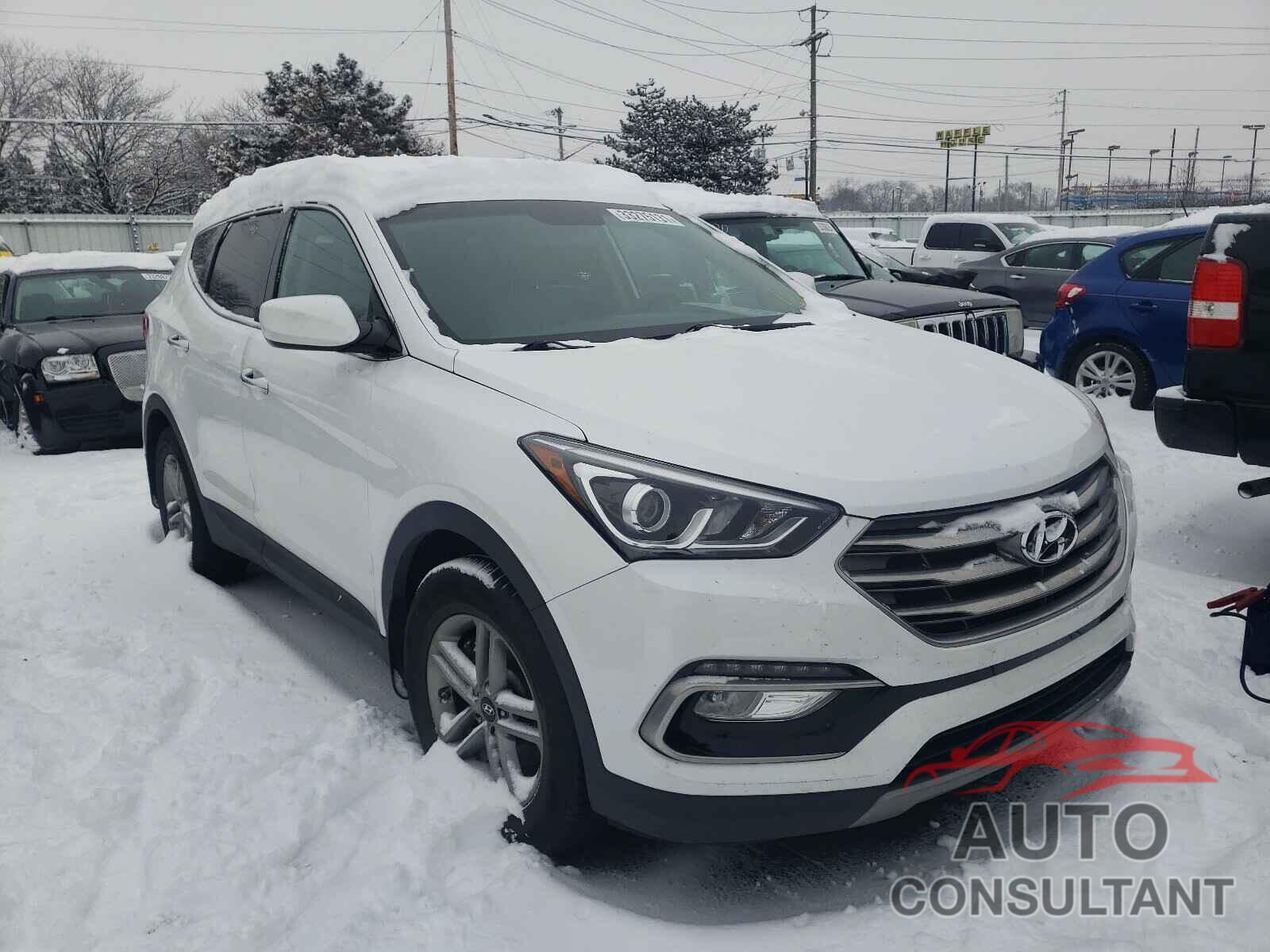 HYUNDAI SANTA FE 2017 - 5NMZUDLB7HH017597