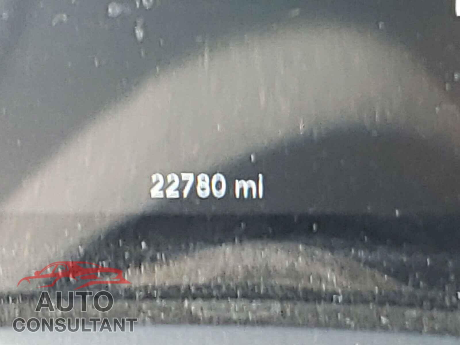 DODGE CHALLENGER 2019 - 2C3CDZAG7KH525917