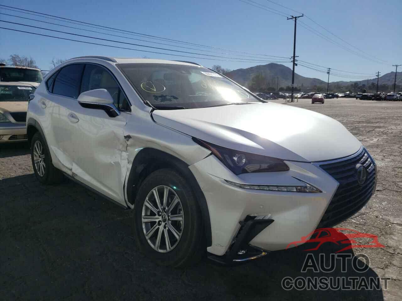 LEXUS NX 2019 - JTJYARBZ4K2151511