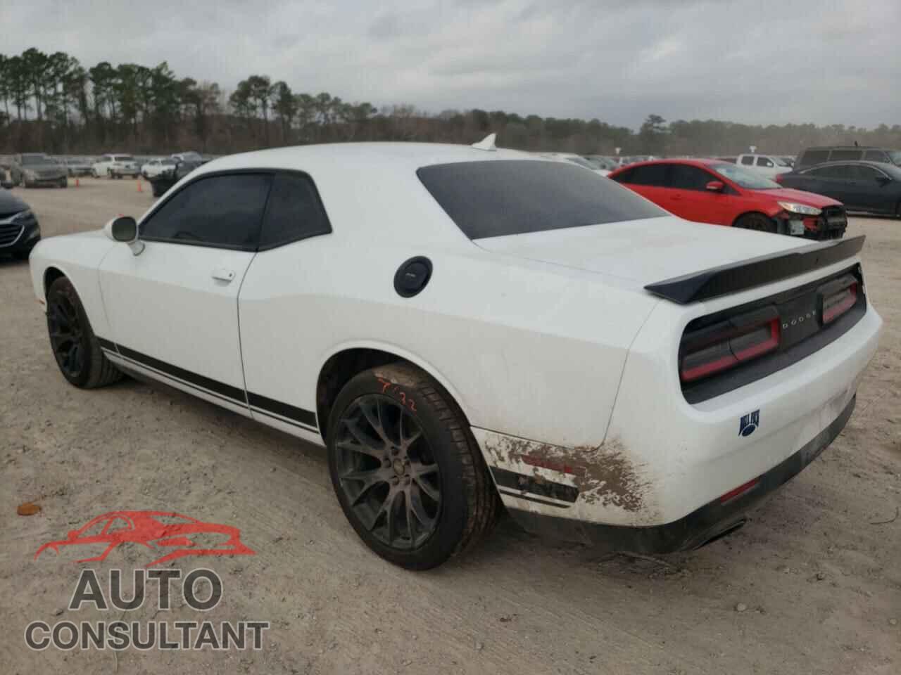 DODGE CHALLENGER 2017 - 2C3CDZAG6HH573613