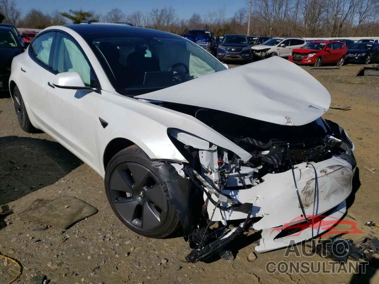 TESLA MODEL 3 2021 - 5YJ3E1EB9MF033035