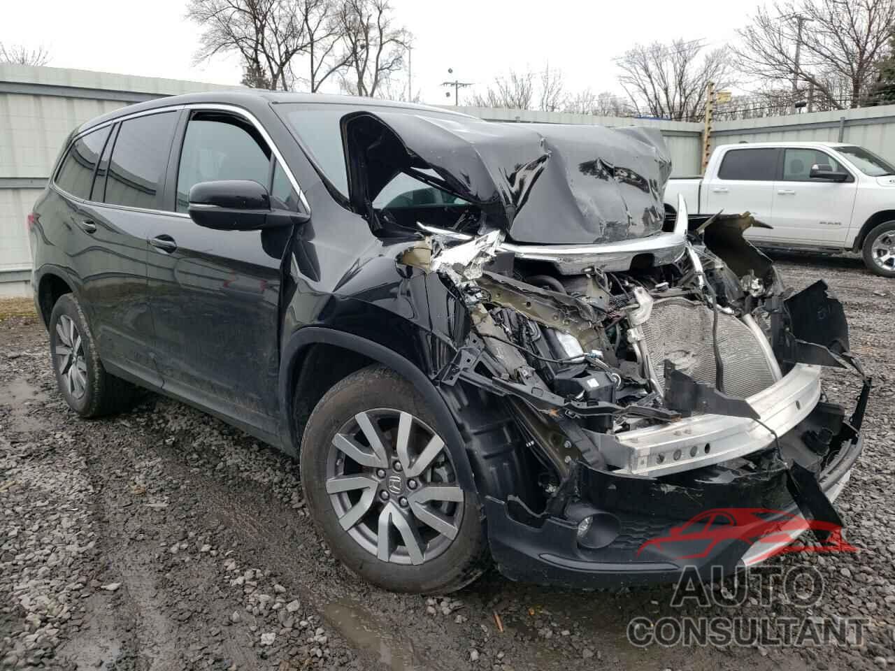 HONDA PILOT 2019 - 5FNYF6H53KB031932