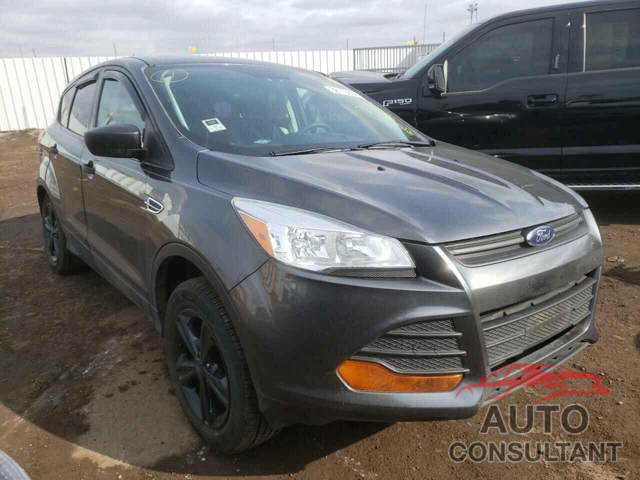 FORD ESCAPE 2016 - 1FMCU0F76GUA92655