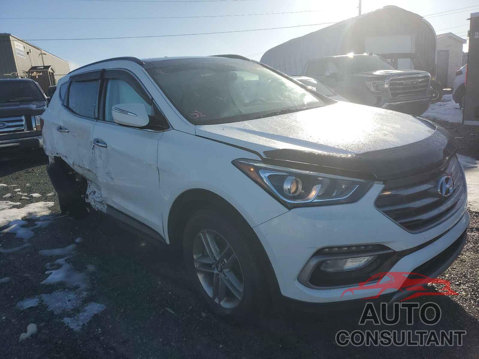 HYUNDAI SANTA FE 2017 - 5XYZUDLB3HG495655