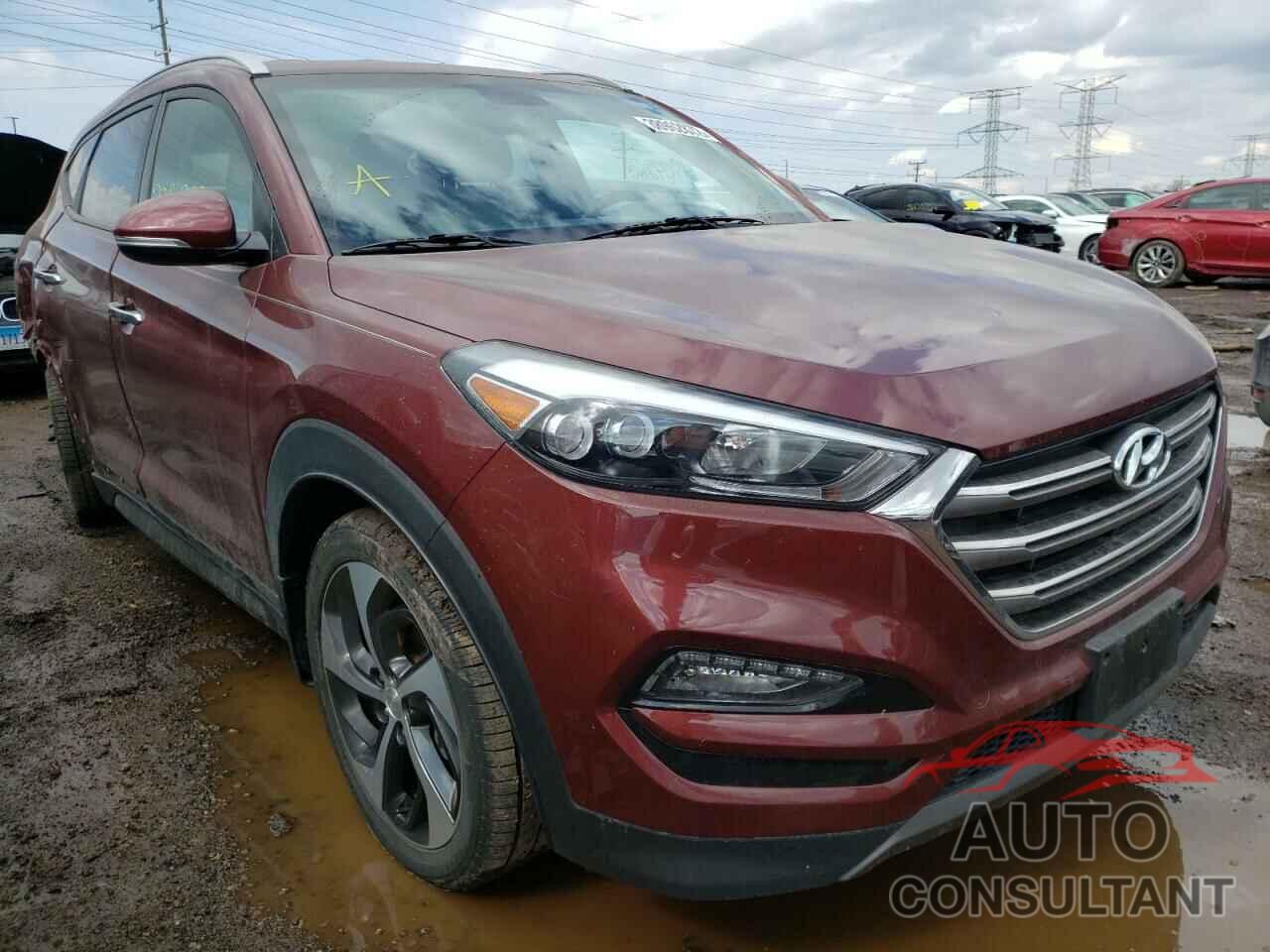 HYUNDAI TUCSON 2016 - KM8J33A21GU151604
