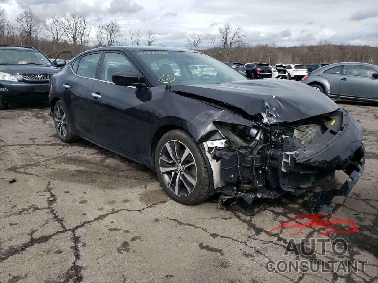 NISSAN MAXIMA 2019 - 1N4AA6AV4KC376383