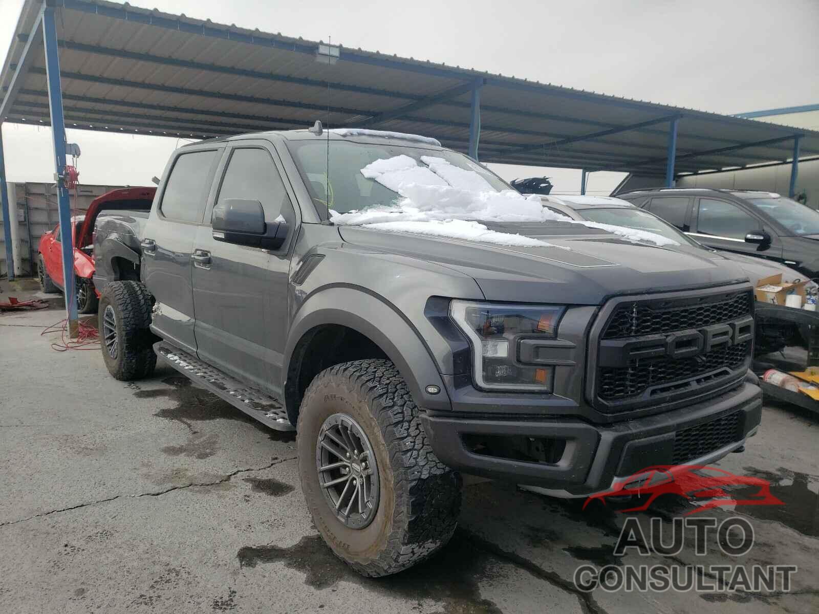 FORD F150 SVT 2019 - 1FTFW1RG6KFC86449