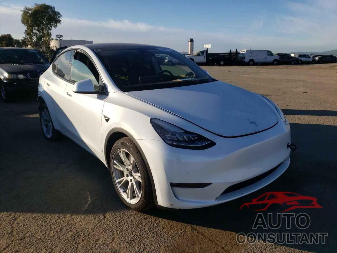 TESLA MODEL Y 2021 - 5YJYGDEE1MF106281