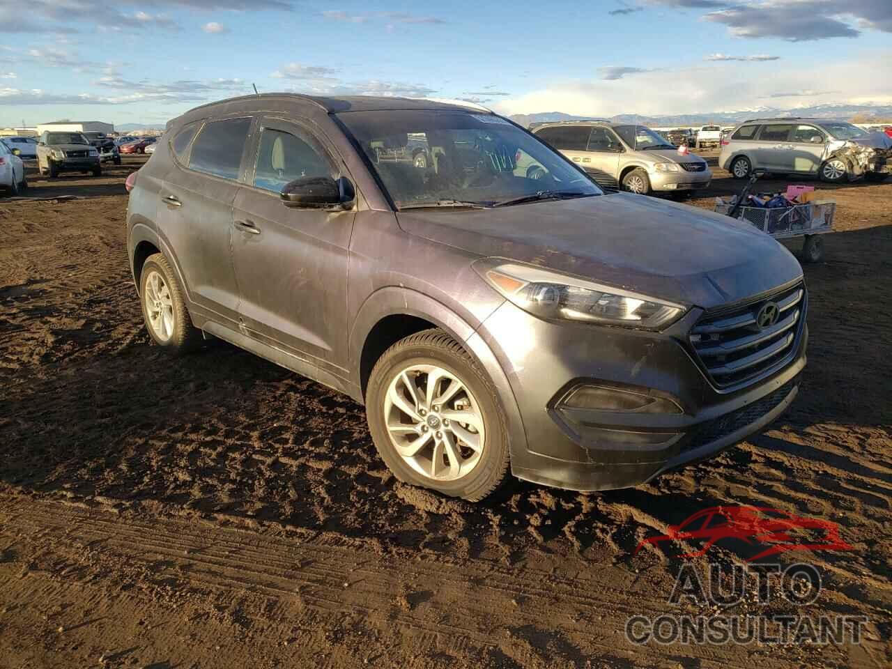 HYUNDAI TUCSON 2017 - KM8J33A47HU453224