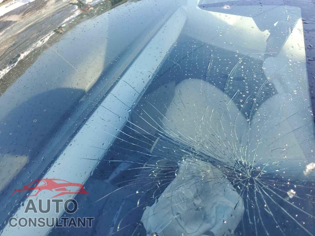 TESLA MODEL 3 2021 - 5YJ3E1EA2MF987634