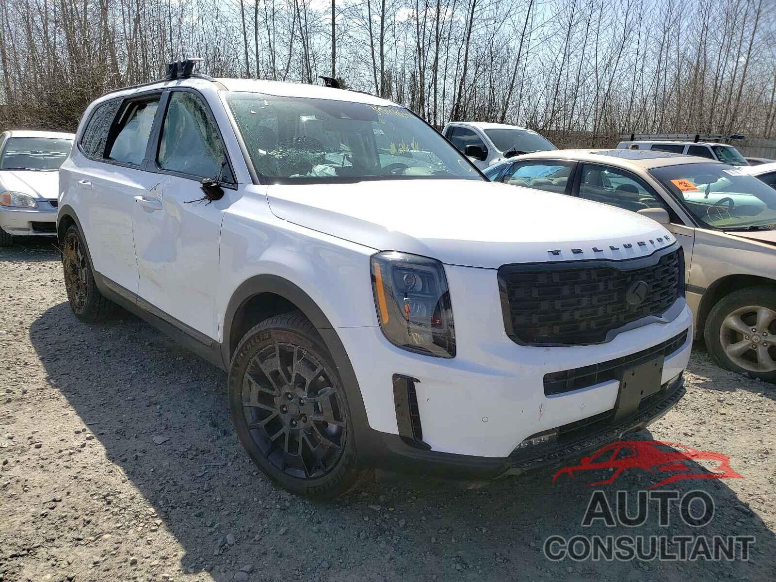 KIA TELLURIDE 2021 - 5XYP5DHC8MG148175