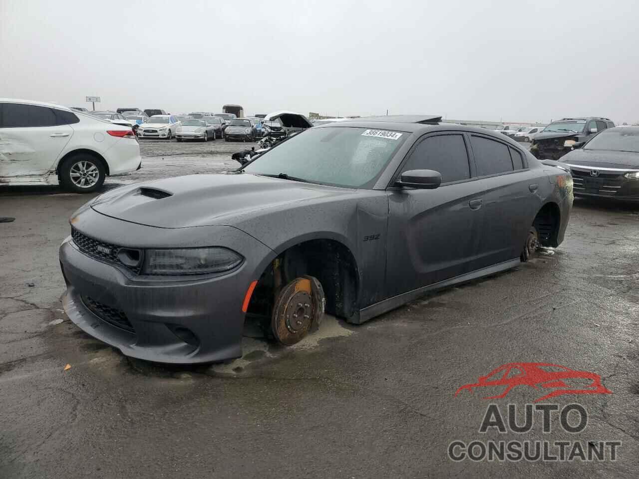 DODGE CHARGER 2019 - 2C3CDXGJ2KH617511