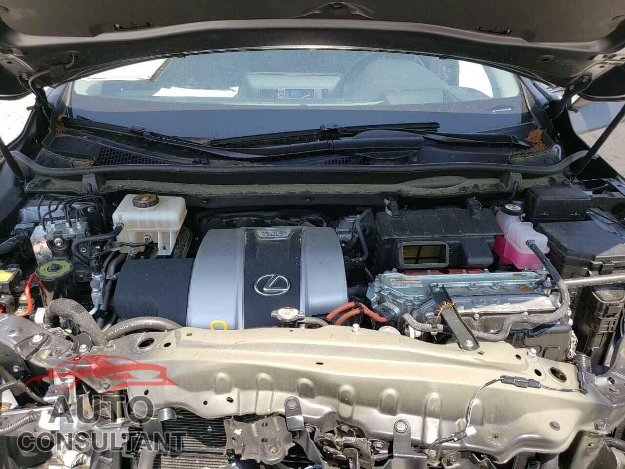 LEXUS RX450 2019 - 2T2BGMCA7KC037292