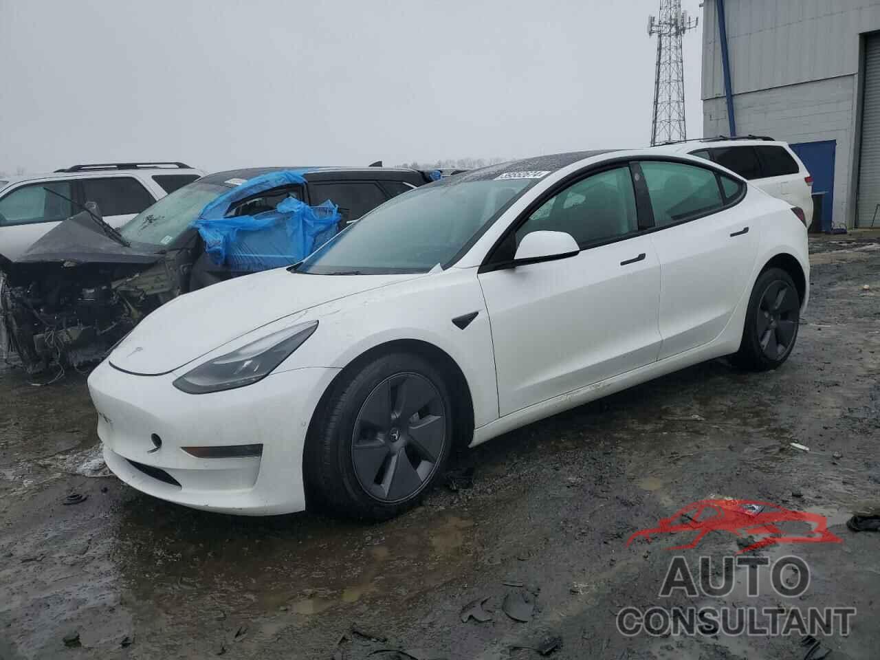 TESLA MODEL 3 2021 - 5YJ3E1EA9MF099057