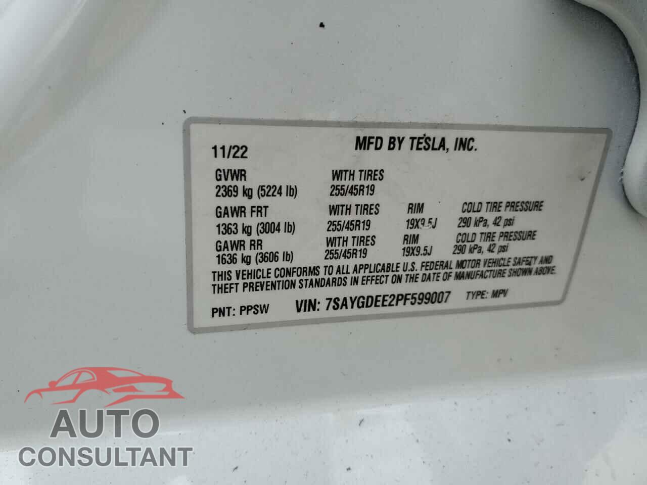 TESLA MODEL Y 2023 - 7SAYGDEE2PF599007