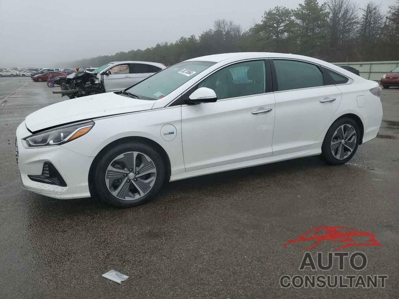 HYUNDAI SONATA 2019 - KMHE14L26KA093400