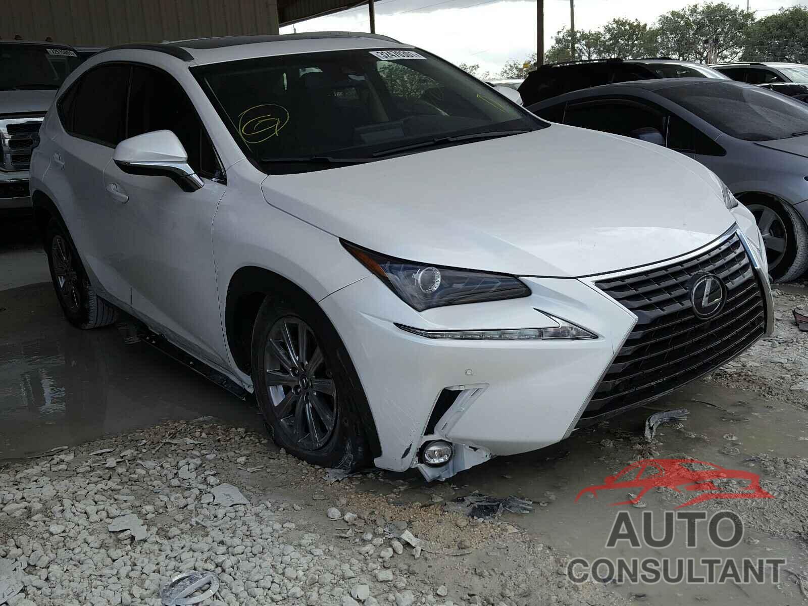 LEXUS NX 2019 - JTJYARBZ2K2157307