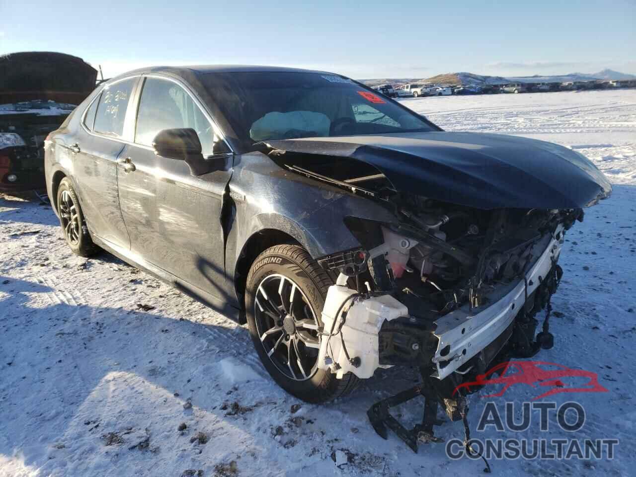 TOYOTA CAMRY 2020 - 4T1C31AK8LU541848