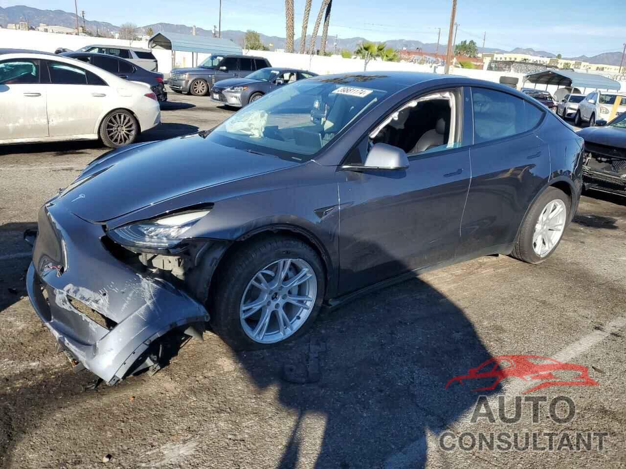 TESLA MODEL Y 2022 - 7SAYGDEE6NF344616