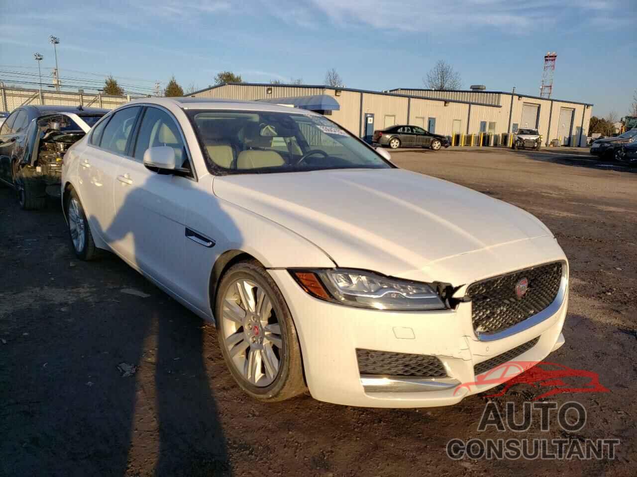 JAGUAR XF 2016 - SAJBD4BV7GCY11687