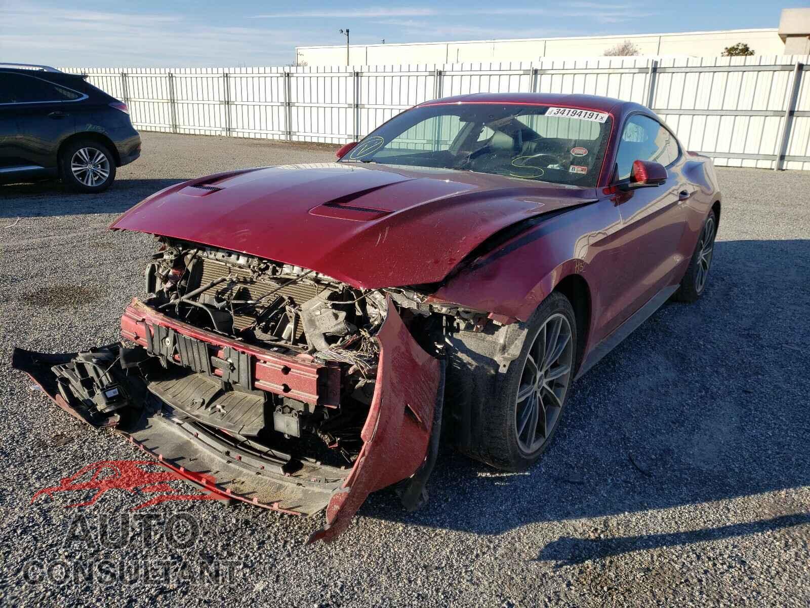 FORD MUSTANG 2019 - 1FA6P8TH5K5151255