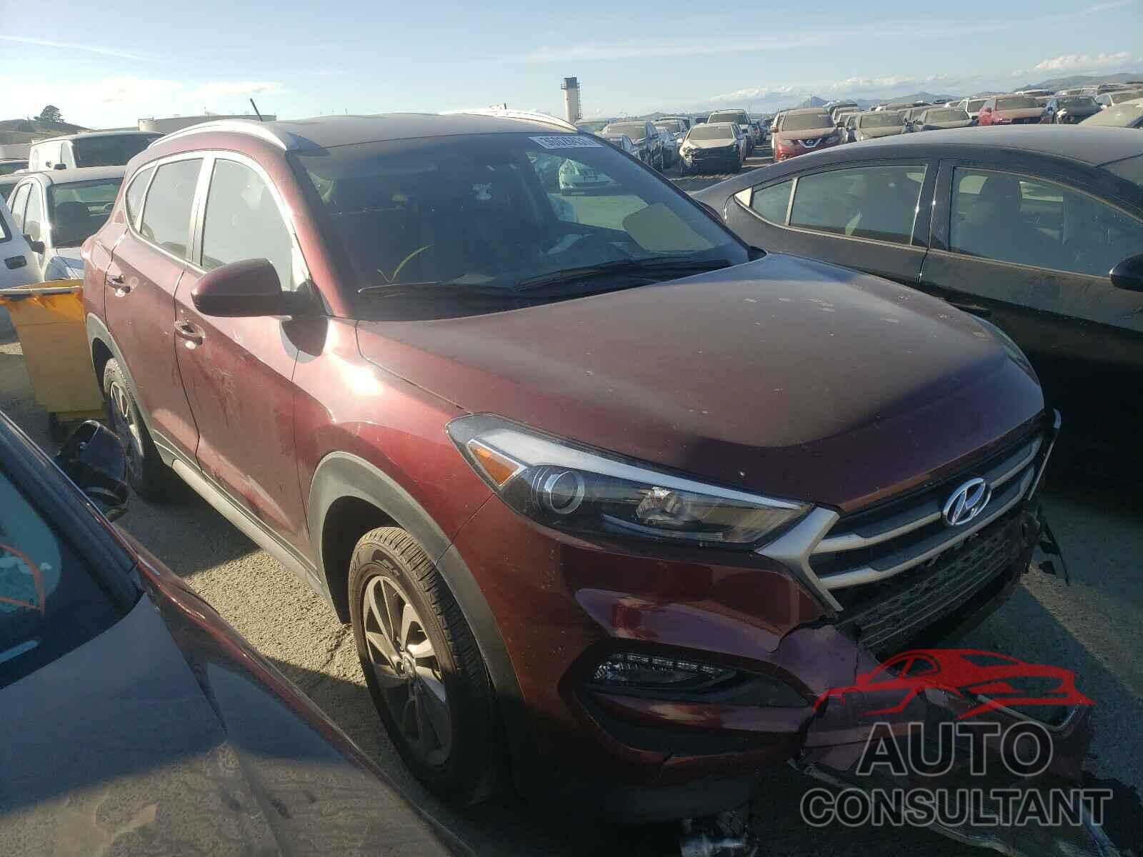 HYUNDAI TUCSON 2017 - KM8J33A45HU331039