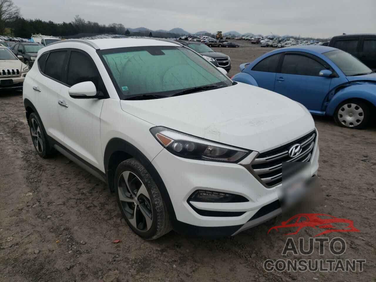 HYUNDAI TUCSON 2017 - KM8J33A25HU353816