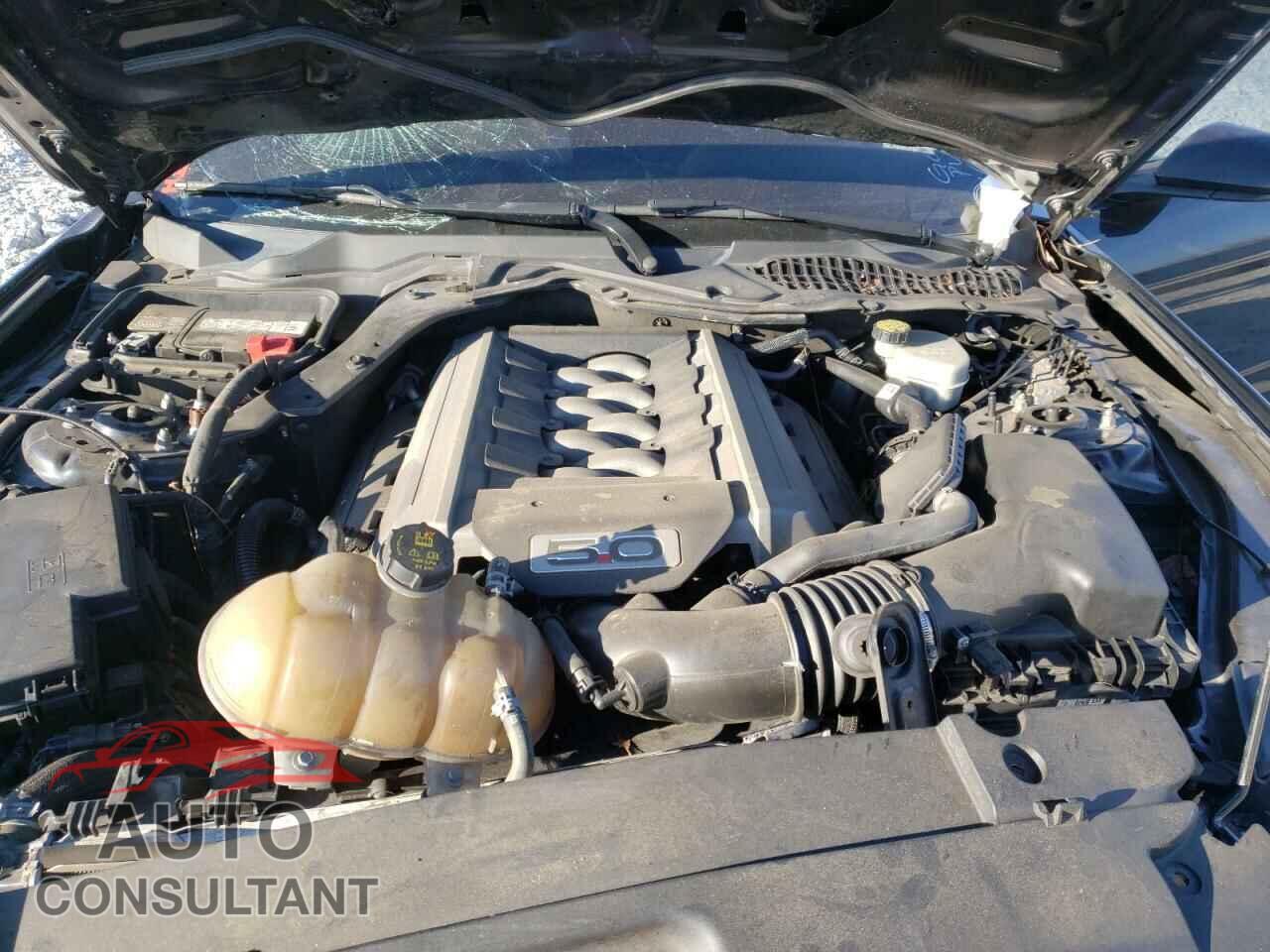 FORD MUSTANG 2017 - 1FA6P8CF2H5262532