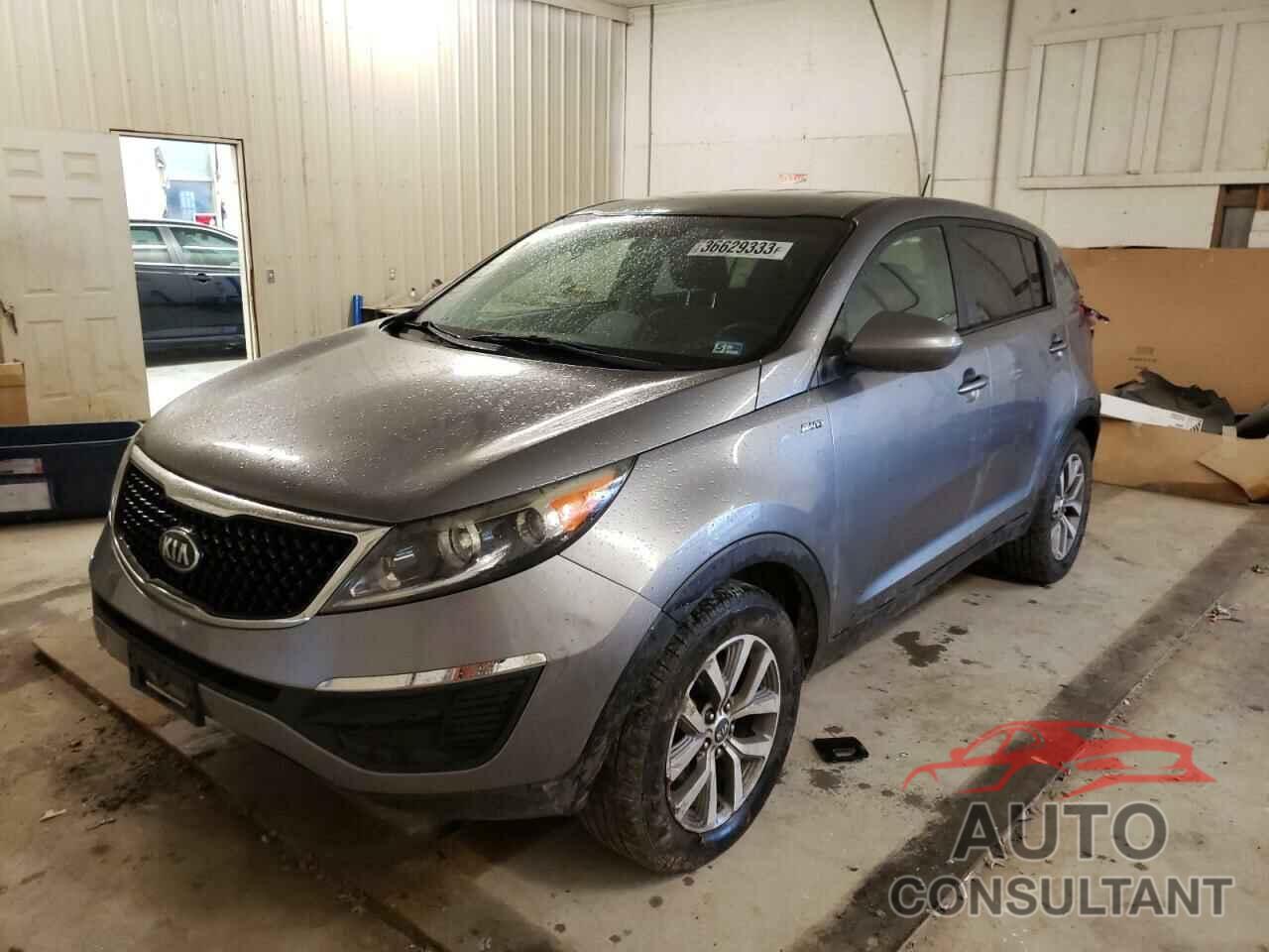 KIA SPORTAGE 2016 - KNDPBCAC9G7849130