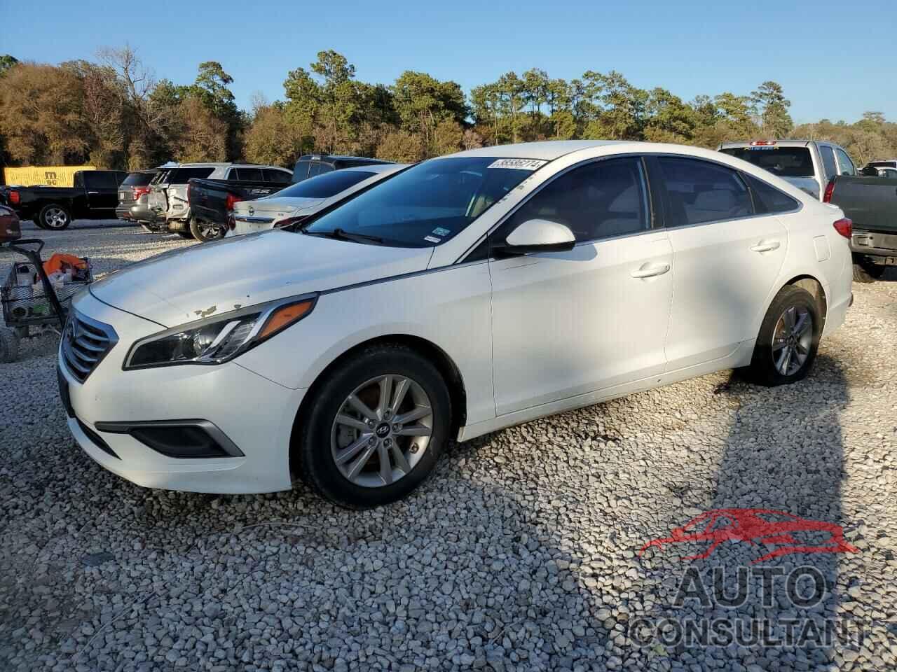 HYUNDAI SONATA 2017 - 5NPE24AF7HH510791