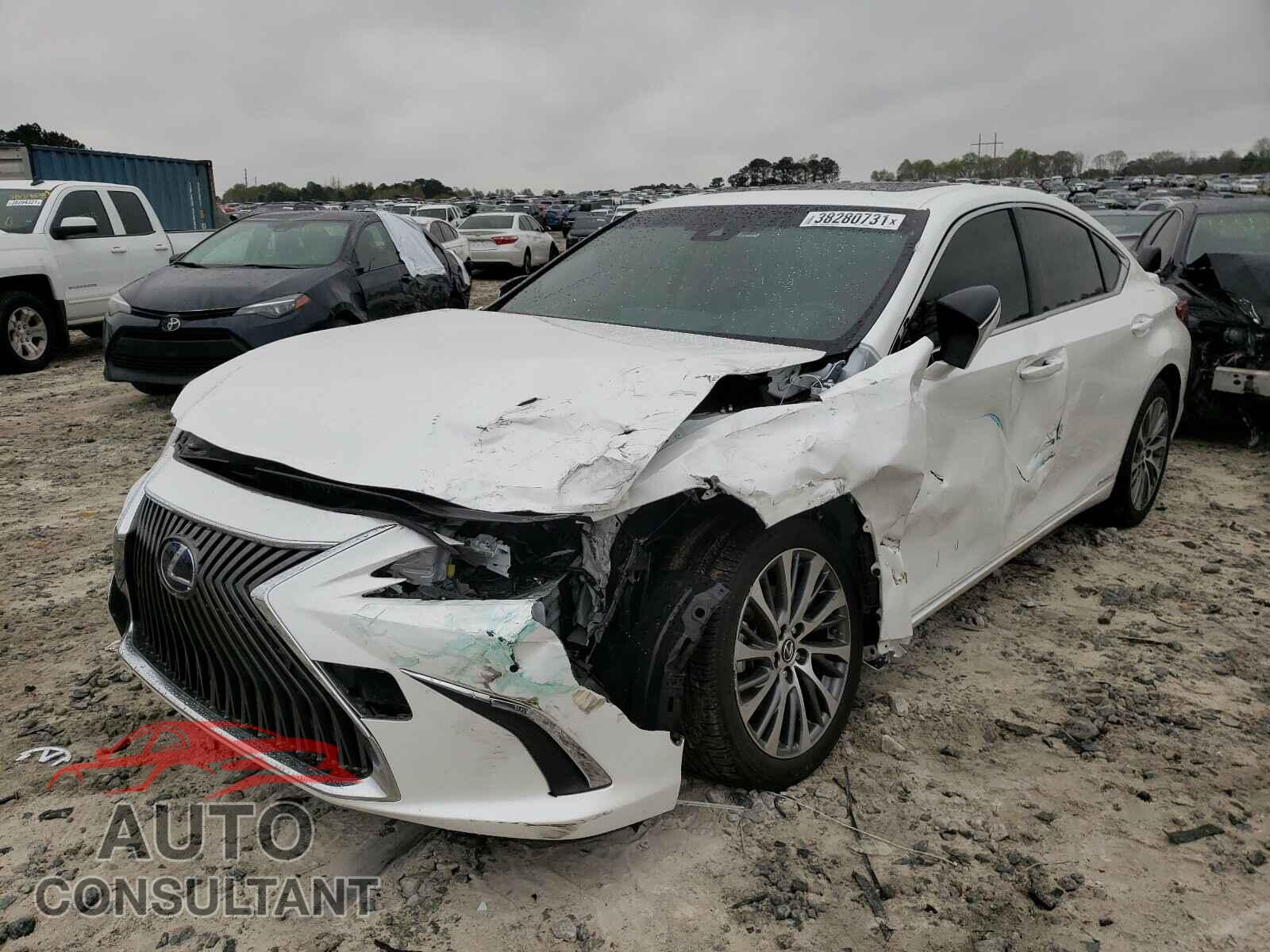 LEXUS ES300 2019 - JTHB21B13K2020845