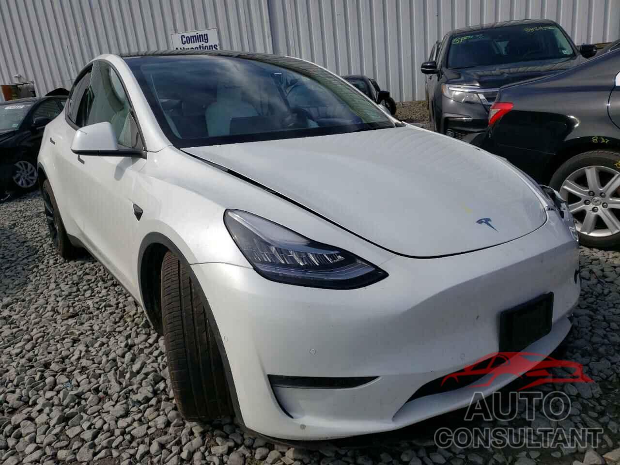 TESLA MODEL Y 2021 - 5YJYGDEE3MF243187