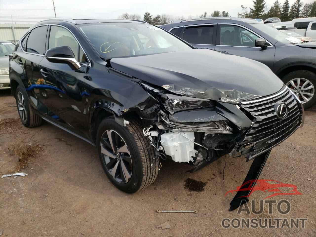 LEXUS NX 2021 - JTJGARDZ2M2243227