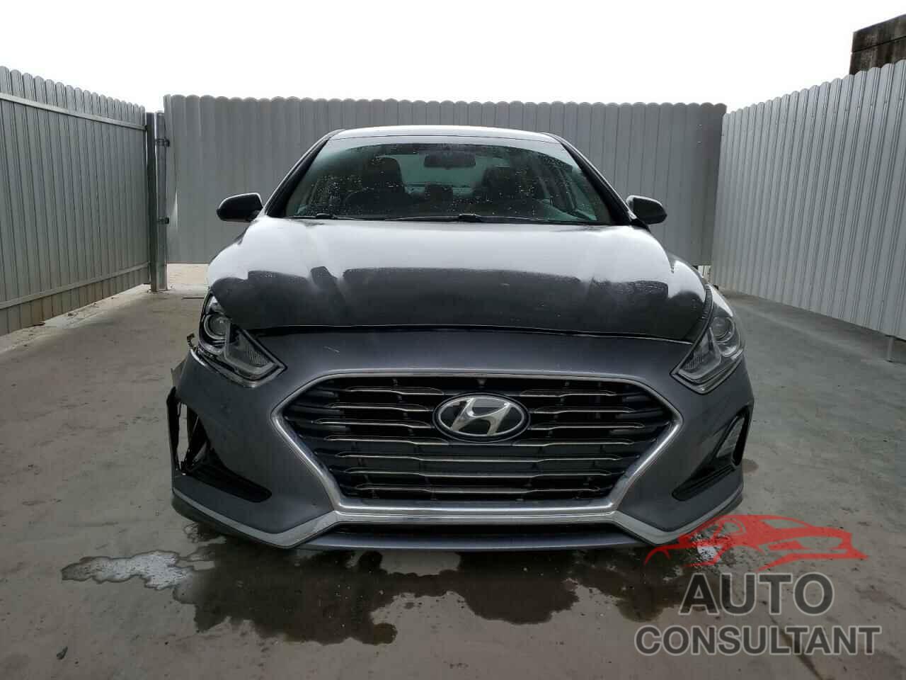 HYUNDAI SONATA 2019 - 5NPE24AF1KH765394