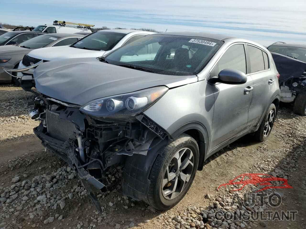 KIA SPORTAGE 2022 - KNDPM3AC8N7996708