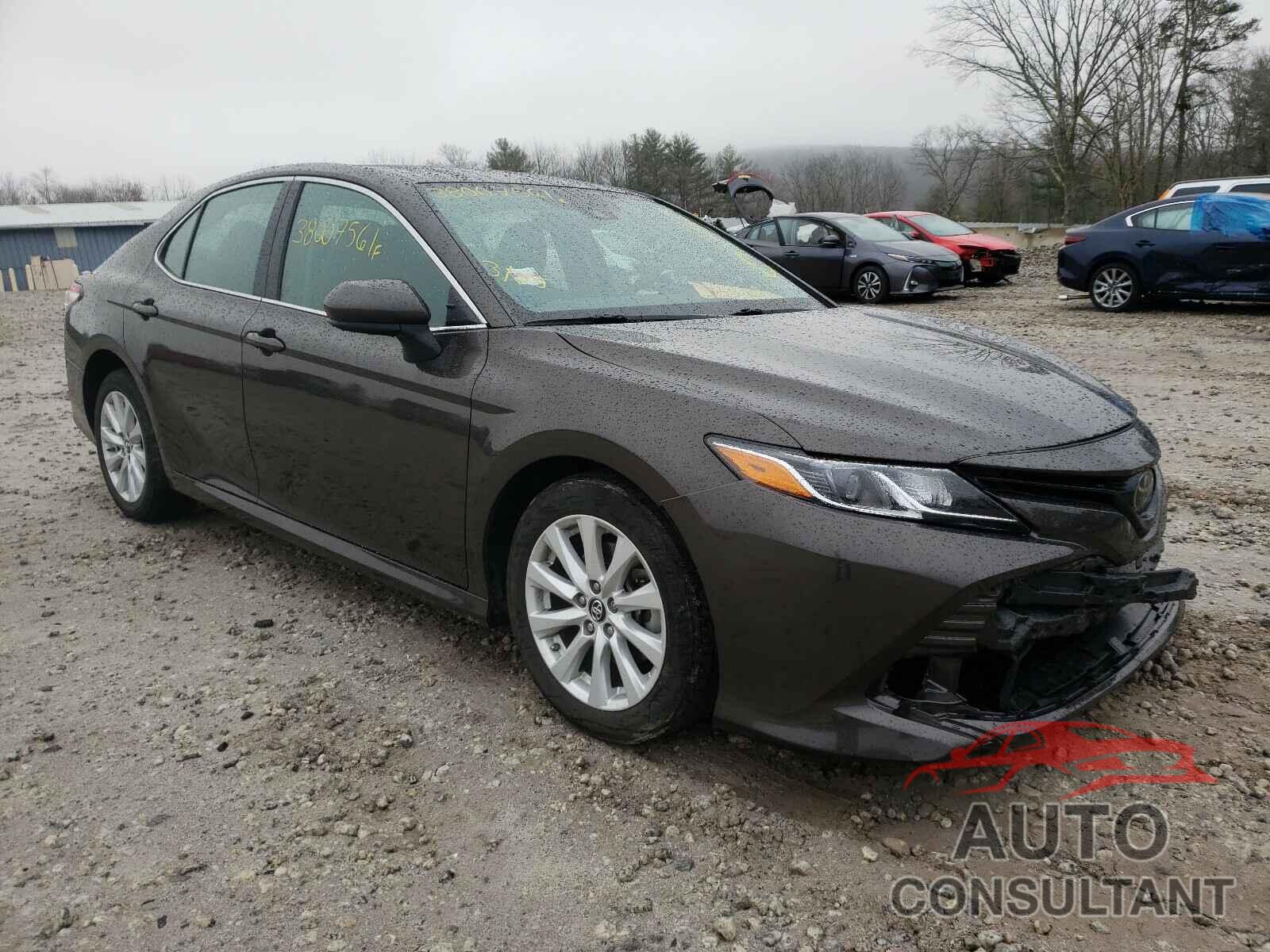 TOYOTA CAMRY 2019 - 4T1B11HK1KU698708