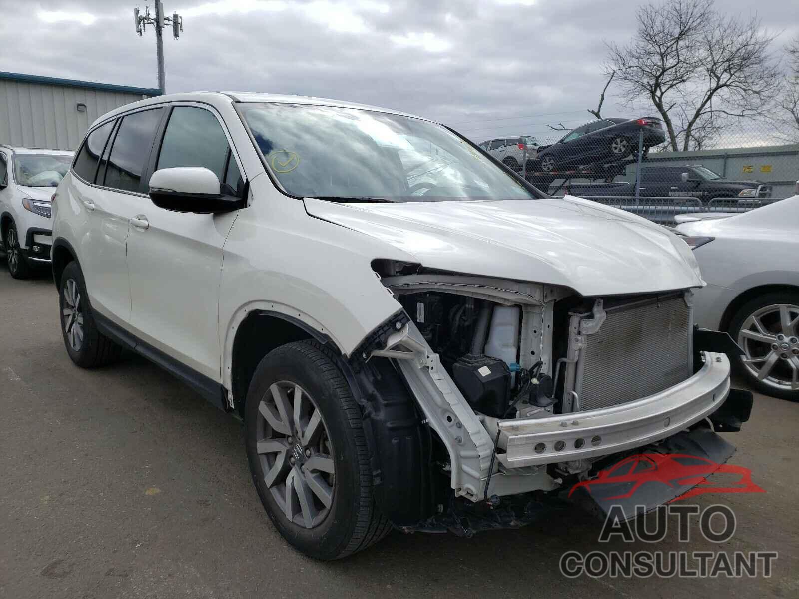 HONDA PILOT 2019 - 5FNYF6H51KB047319