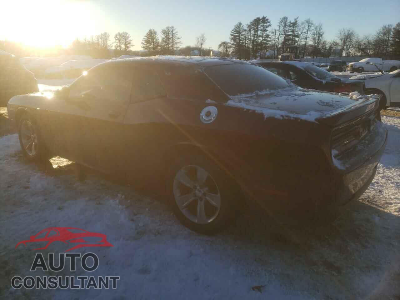 DODGE CHALLENGER 2019 - 2C3CDZAG7KH616220
